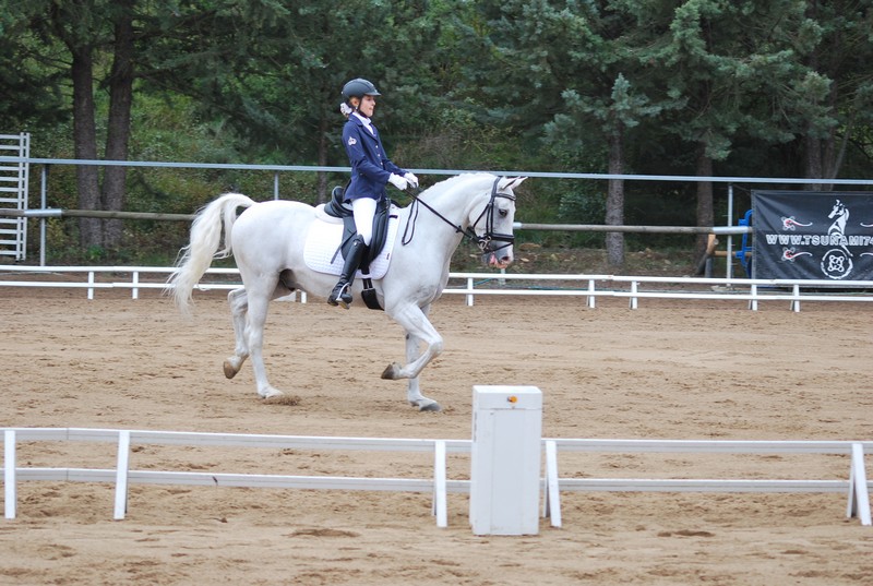 Resultados de la 7ª Fase del Campeonato Navarro de Doma Clásica y Doma Adaptada celebrado el domingo 1 de octubre en Labiano